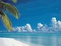 pic for 480x360 Tropical Beach Cook Islands
